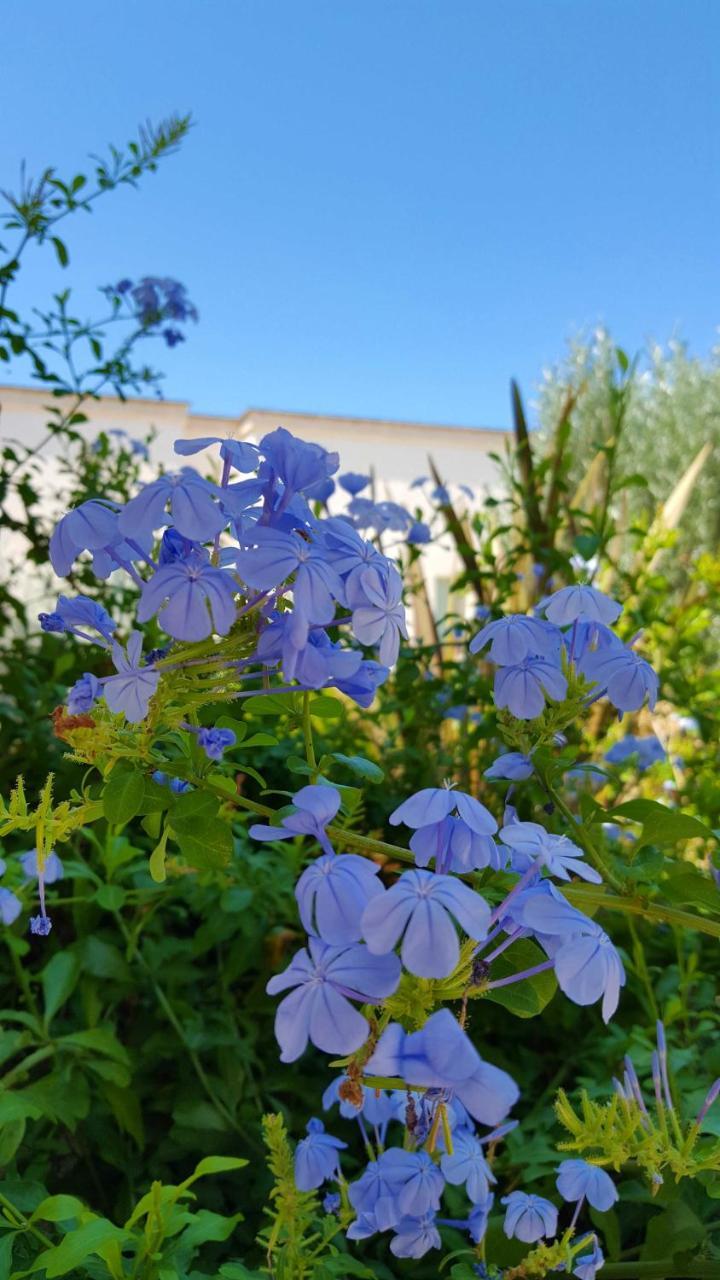 The Proud Garden Bed and Breakfast Carovigno Buitenkant foto