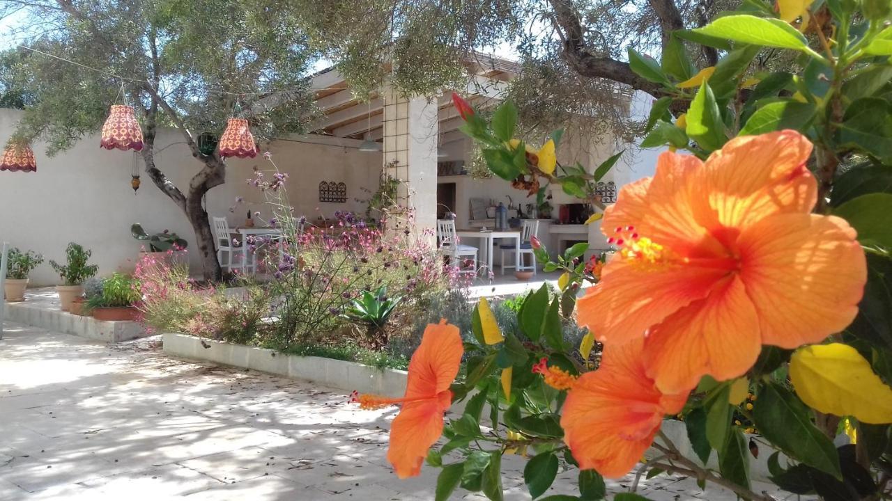 The Proud Garden Bed and Breakfast Carovigno Buitenkant foto